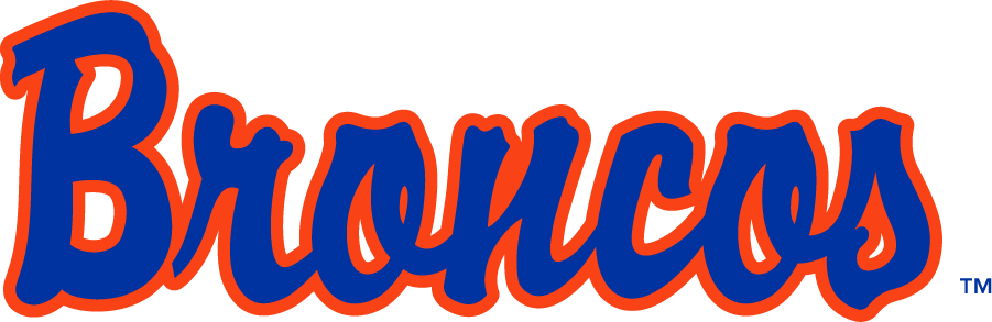 Boise State Broncos 1997-2001 Wordmark Logo v2 t shirts iron on transfers